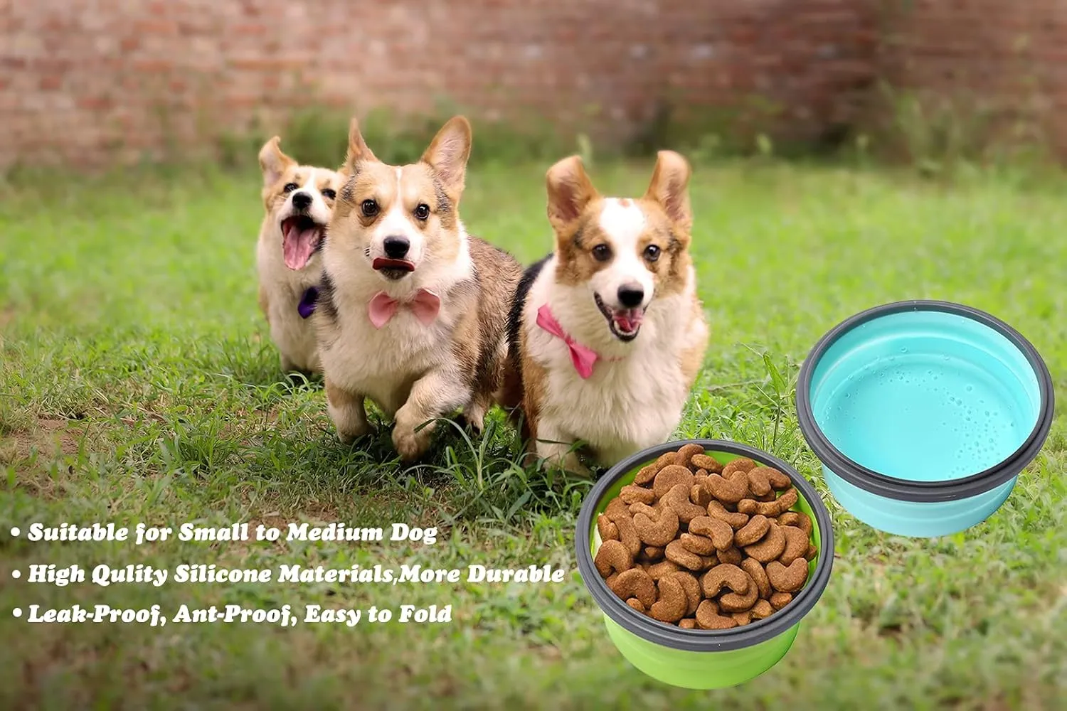 2 Pack Collapsible Dog Bowls, Silicone Travel Dog Bowls Portable Dog Food Bowls with Lids Pet Feeders Collapsible Water Cup Cat Bowl Dish for Camping Traveling Walking, 17 oz 500ml