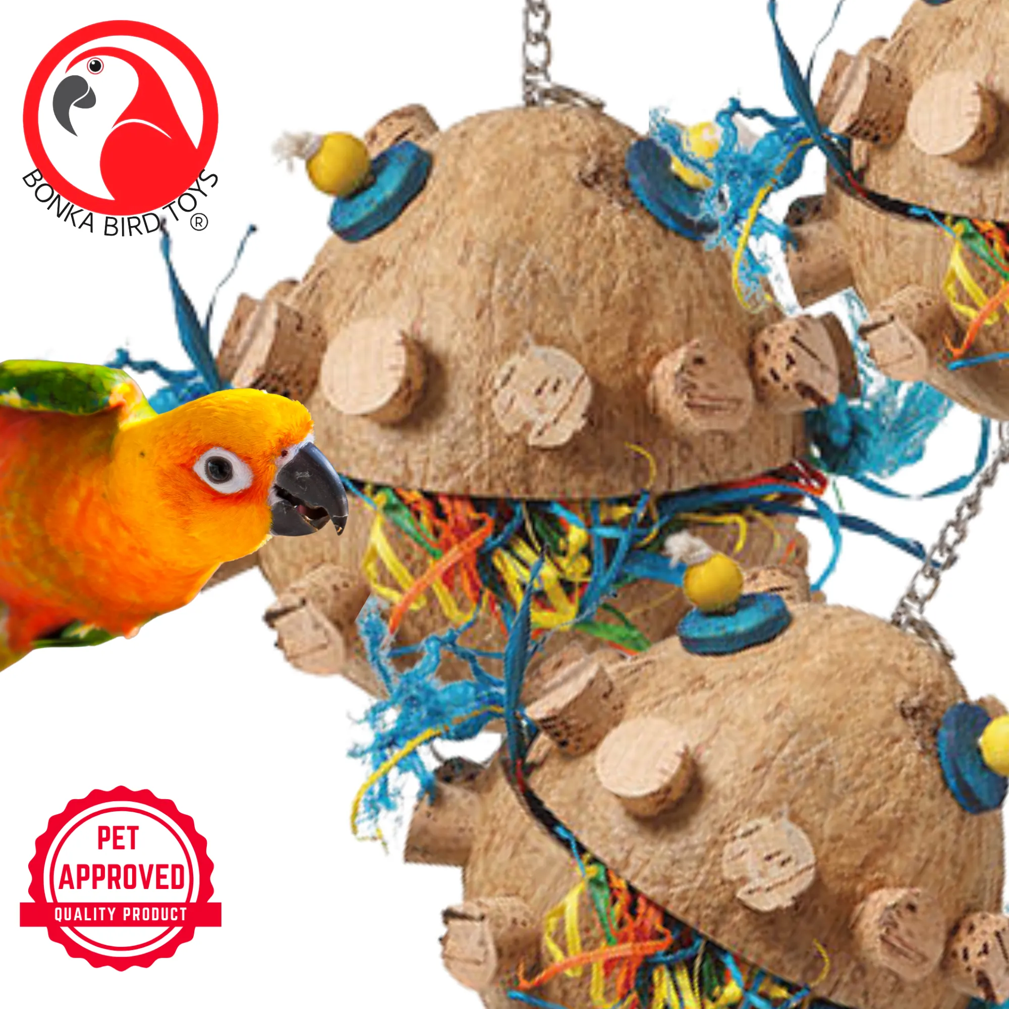 2228 Foraging Coco Cork