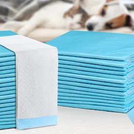 400pcs Puppy Dog Pet Training Pads Cat Toilet 60x60cm Super Absorbent Indoor Disposable