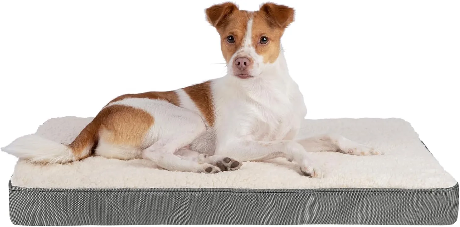 Best Pet Supplies ,,,, - ,41X29X4