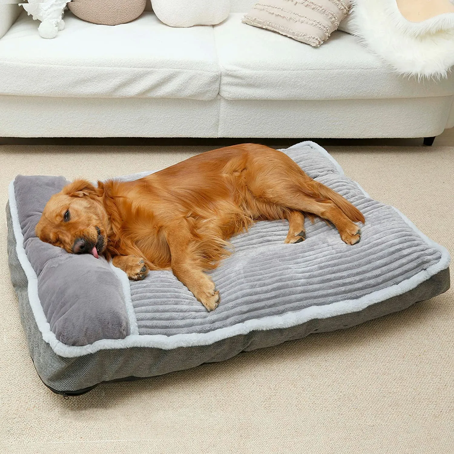 Foam Dog Bed