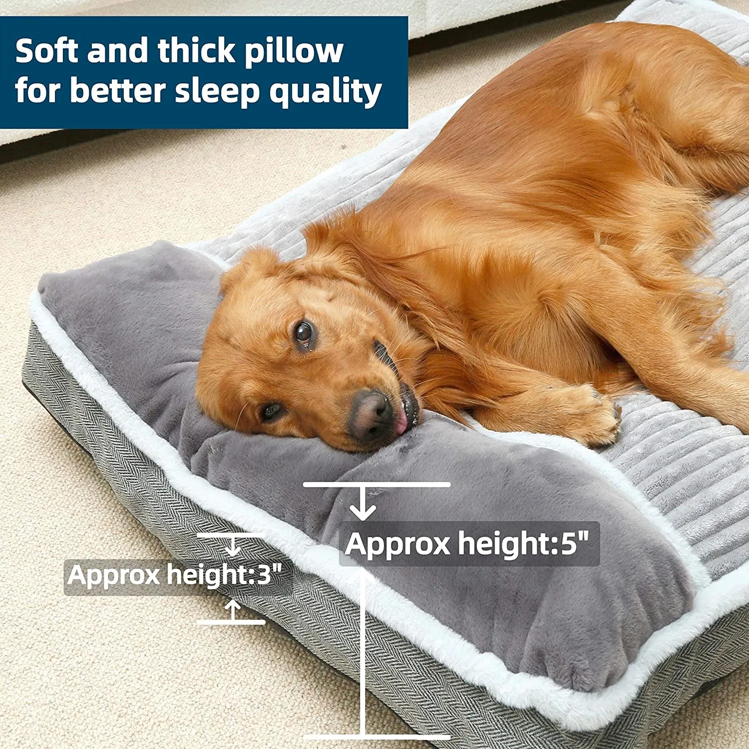 Foam Dog Bed
