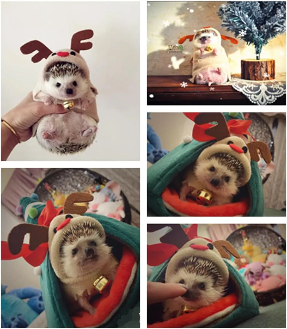 Hedgehog Costume Reindeer Clothes for Hedgehogs Small Animal Apparel Polar Fleece Handmade Hedgehog Hoodie Dress Up Accessories Outfit for Cosplay Halloween Christmas Party Pet Supplies (M(400-500g))