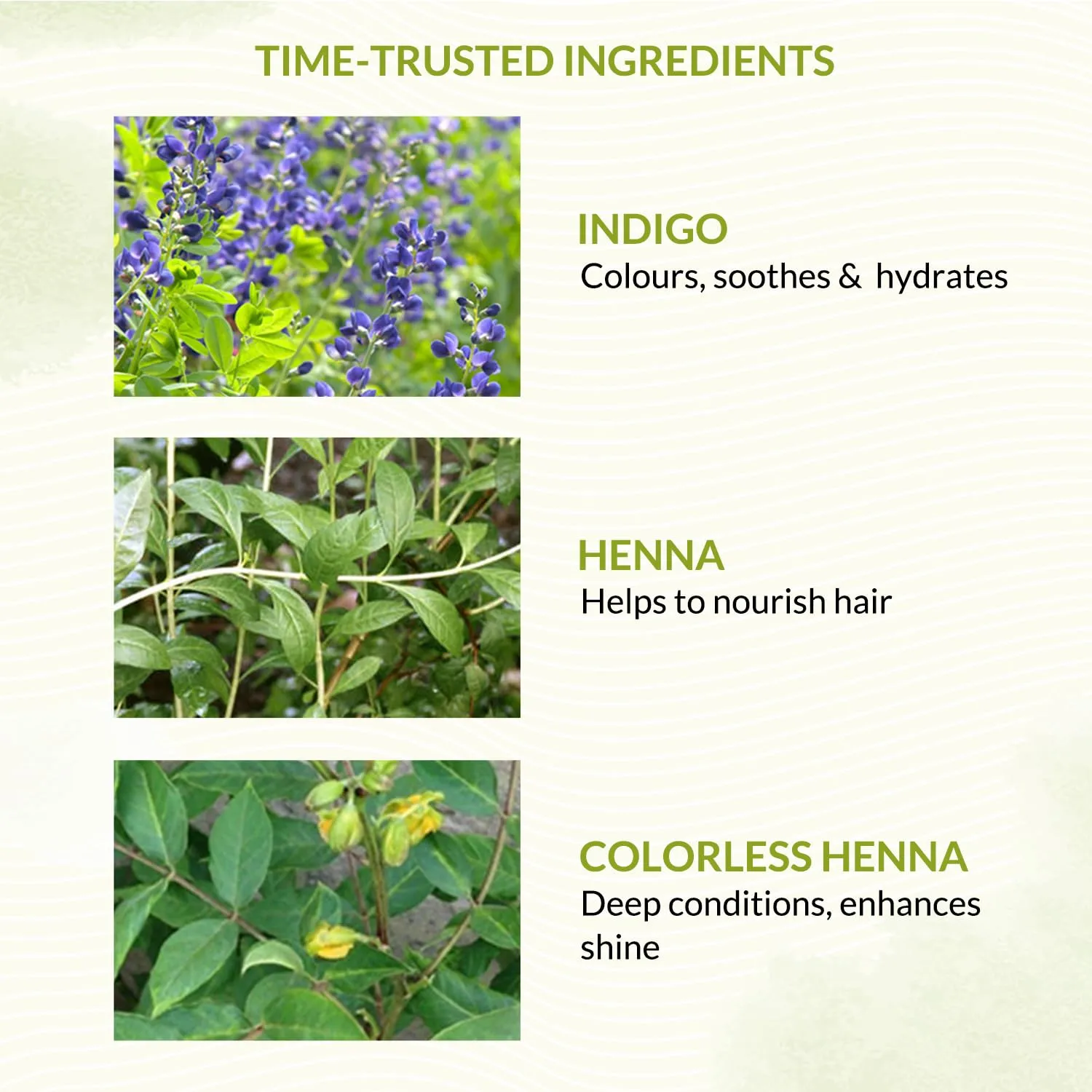Indus Valley Bio Organic Natural Henna Hair Color Chocolate 100gm| 100% Gray Hair Coverage And Long Lasting Hair Dye | Natural Hair Dye, Vegan and Cruelty-Free