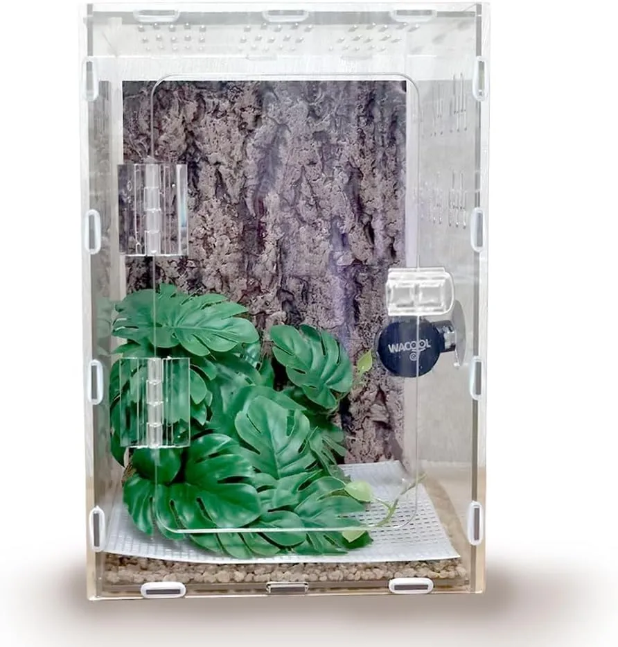 Jumping Spider Enclosure, 12x8x6 inch Large Acrylic Terrarium Reptile Enclosure Tank with Front Opening Door for Jumping Spider Tarantula Isopod Invertebrates Gecko Snake