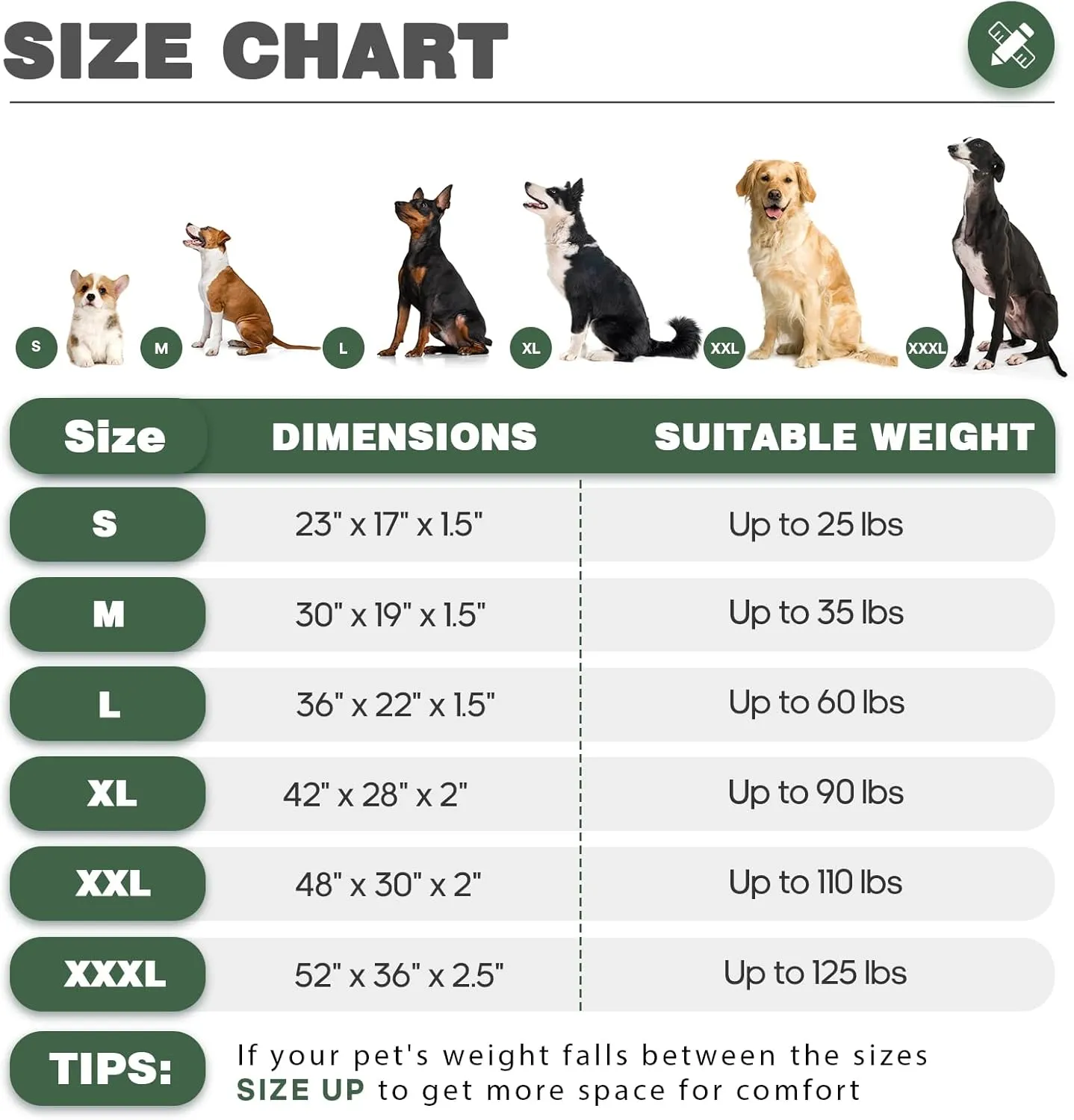 KHONSU PET  XL