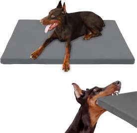 KHONSU PET  XL