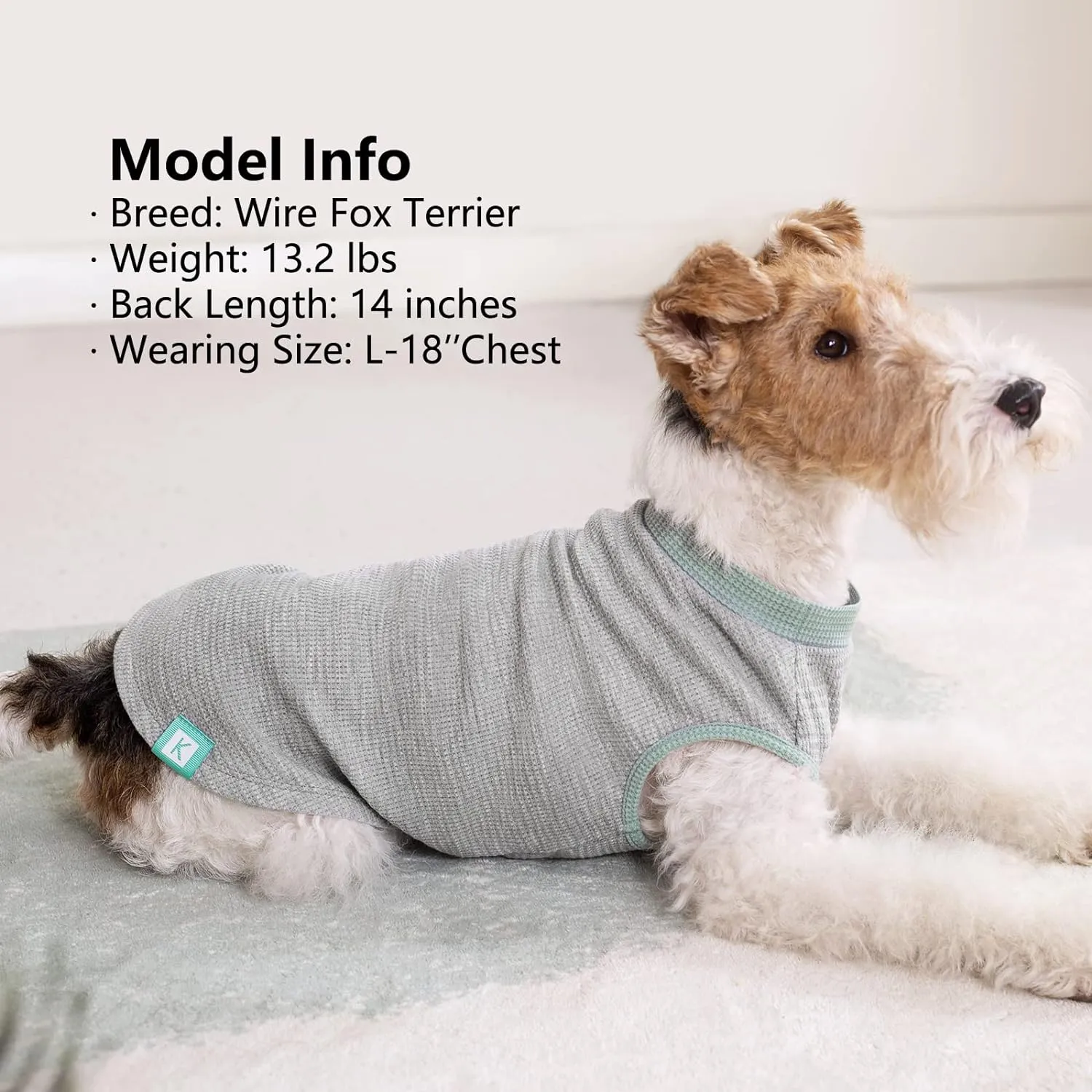KYEESE 2Pack Dog Shirts Waffle for Small Dogs Stretchy Pet T-Shirts Lightweight Dog Tank Top Sleeveless Dogs Vest Breathable, X-Large, Green Grey