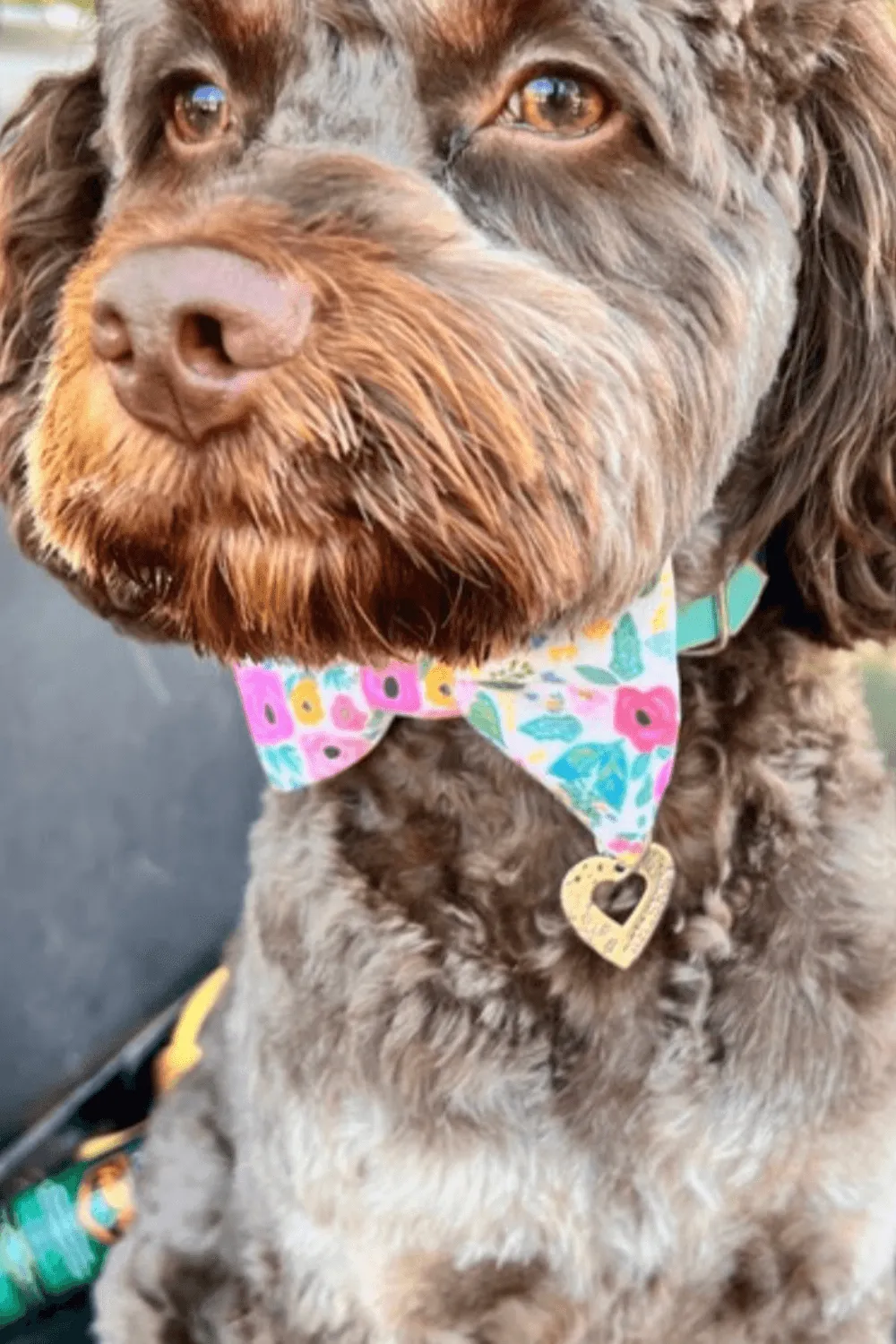 Navy Wonderland Garden Bow Tie for Dog Collar and Cat Collar