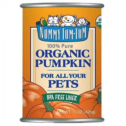 Nummy Tum Tum Organic Pumpkin