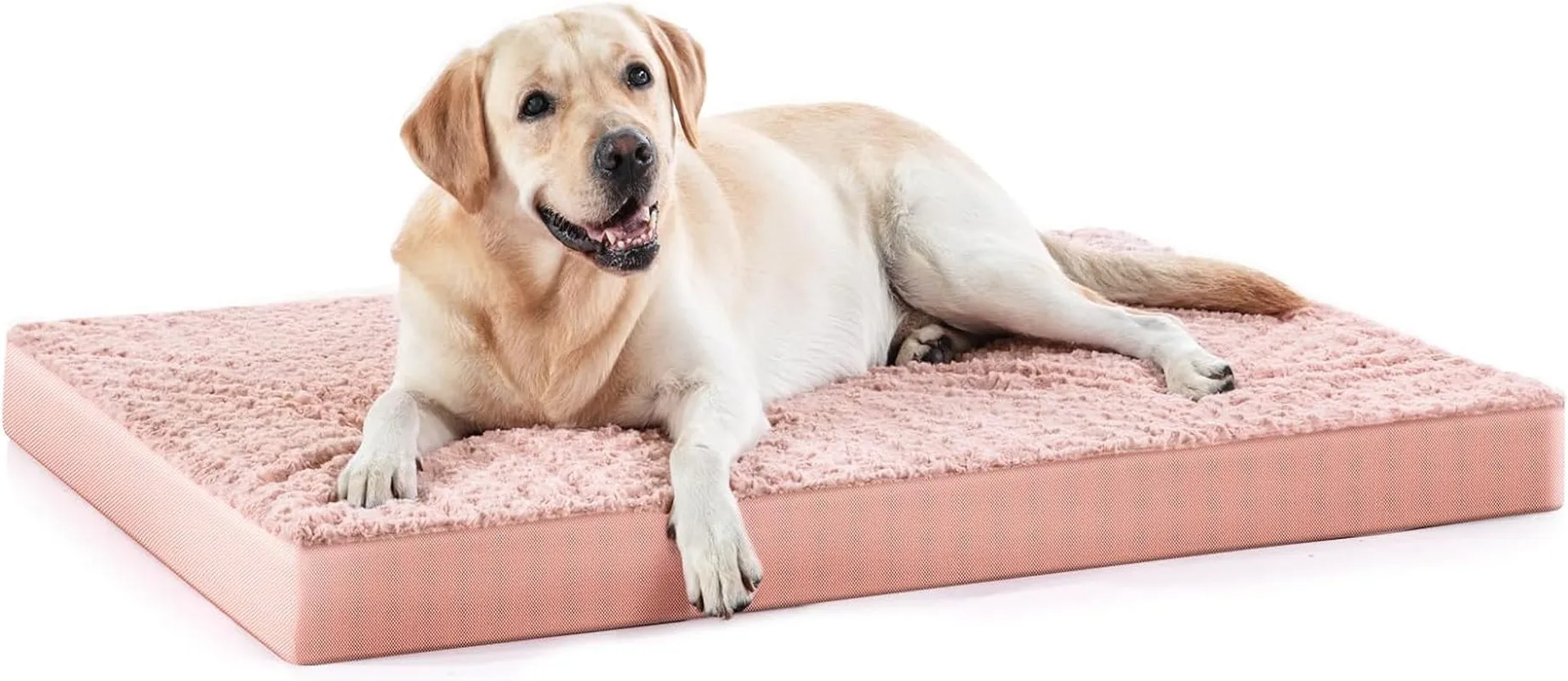 Orthopedic Dog Bed