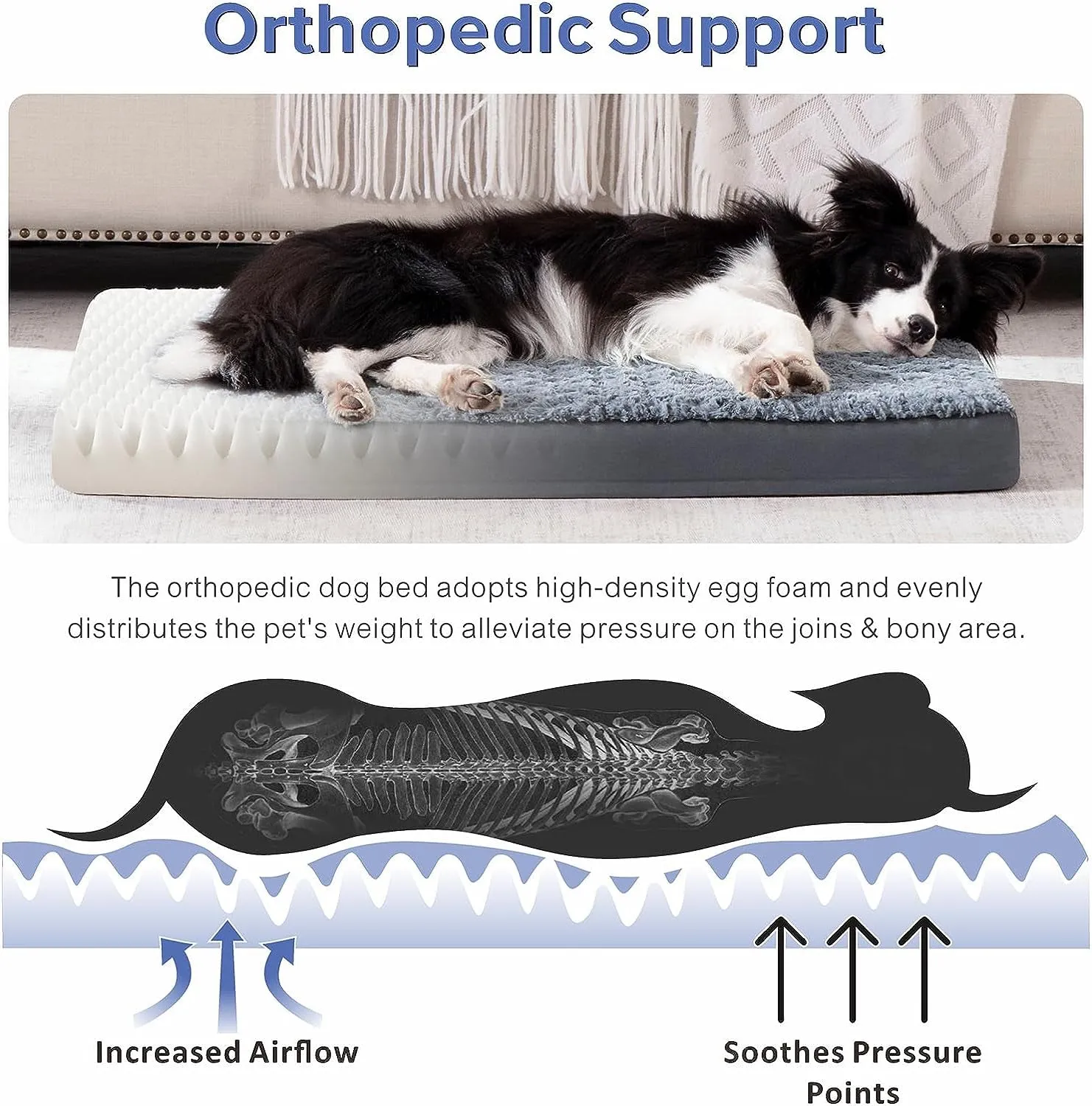 Orthopedic Dog Bed