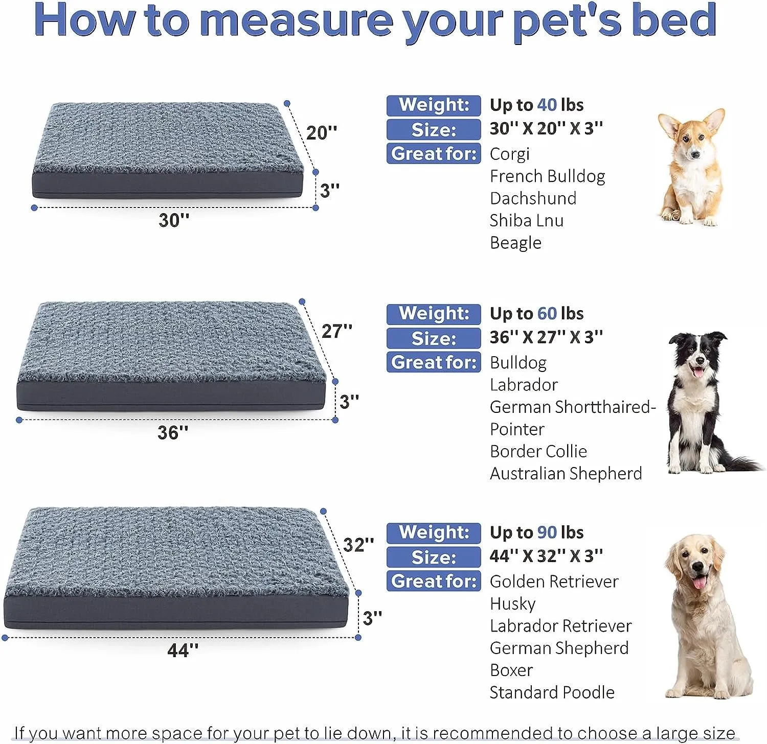 Orthopedic Dog Bed