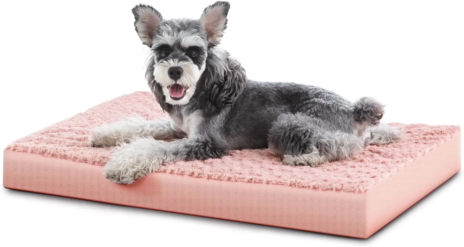 Orthopedic Dog Bed