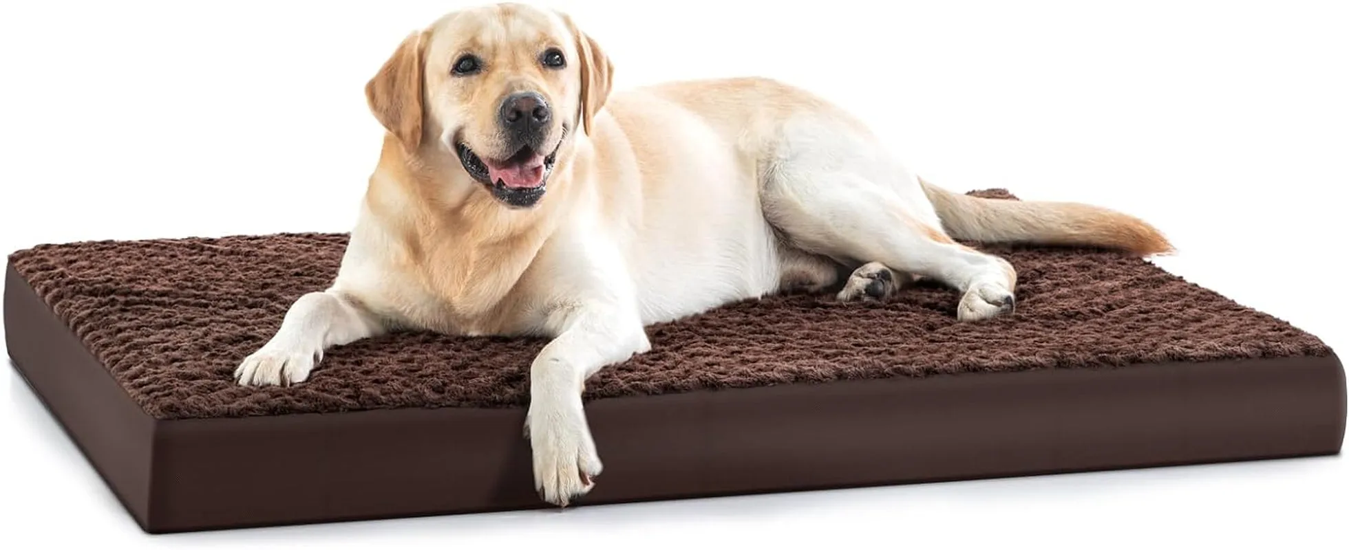 Orthopedic Dog Bed