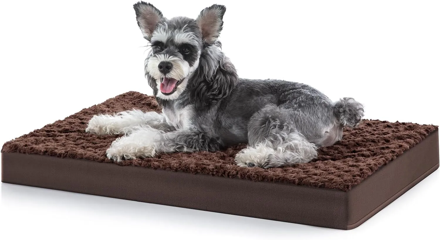 Orthopedic Dog Bed