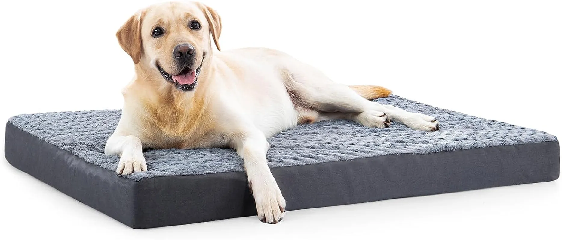 Orthopedic Dog Bed