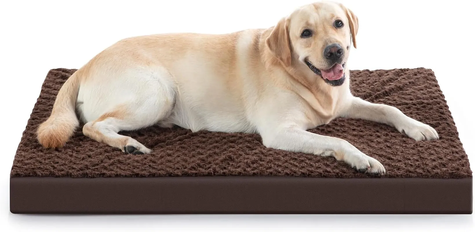 Orthopedic Dog Bed