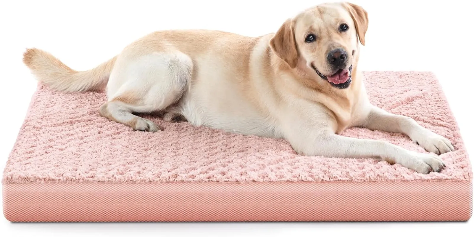 Orthopedic Dog Bed