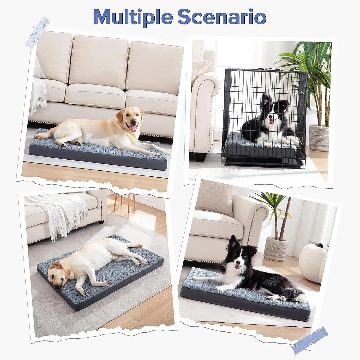 Orthopedic Dog Bed
