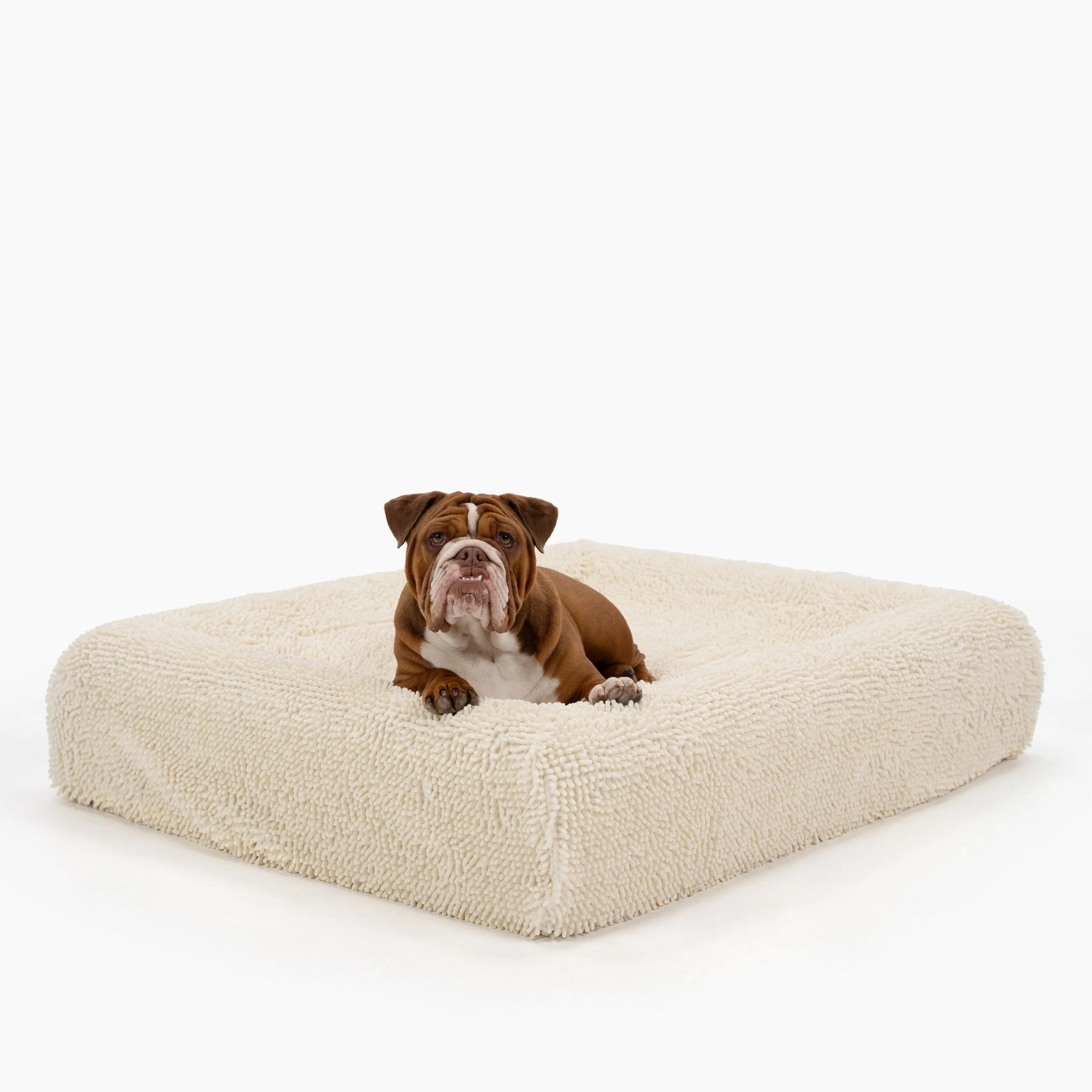 Orthopedic Memory Foam Dog Bed - Cream (Small)