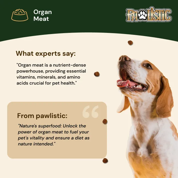 Pawlistic's Buffalo Lung Treats | Wholesome & Irresistible Treats