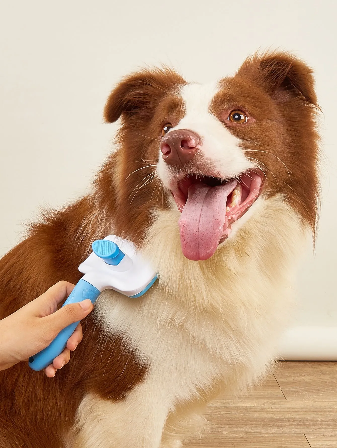 Pet Hair Comb