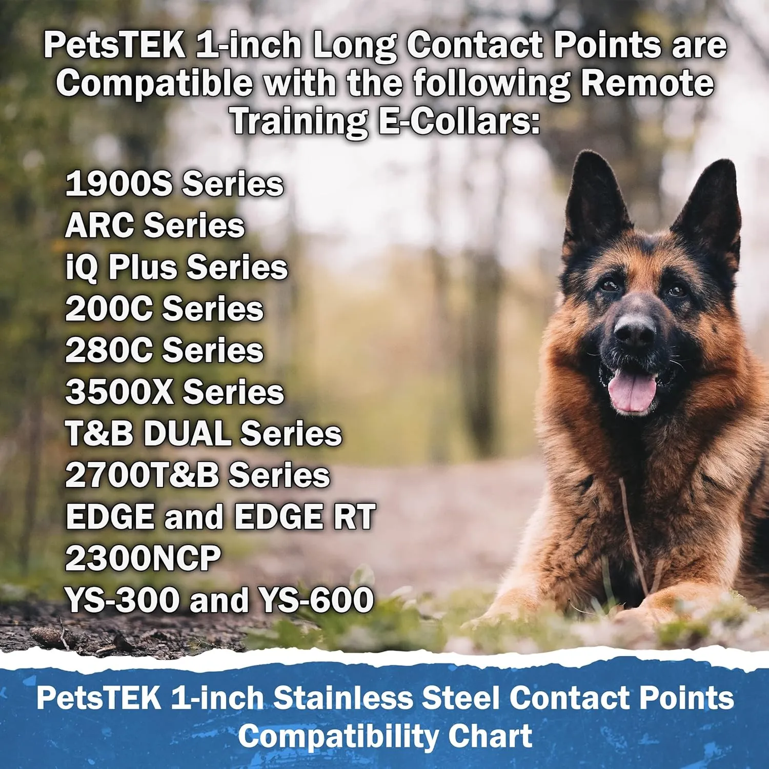 Replacement Prongs 3/4-Inch Stainless Steel Contact Points Compatible with Dogtra Remote Trainers and Bark Collars 1900S/ARC/iQ Plus/200C/280C/2700T&B/EDGE/YS-600/YS-300 - PetsTEK Brand - Made in USA