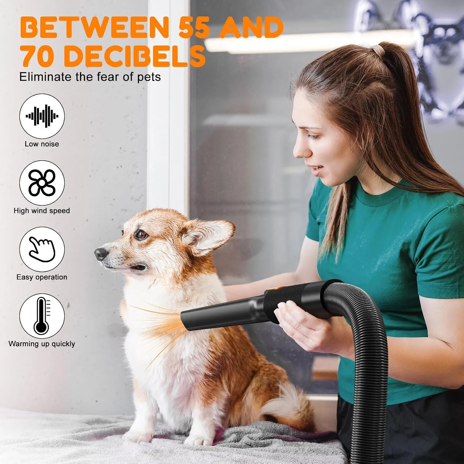 ROPO Pet Hair Dryer, High Power Dog Water Blower, Portable Low Noise Pet Grooming Hair Dryer, Adjustable Temperature and Wind Speed Dog Grooming Kit with 4 Nozzles(Black, SE02)