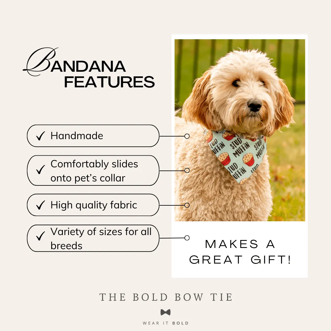 Ski Lodge Dog Bandana