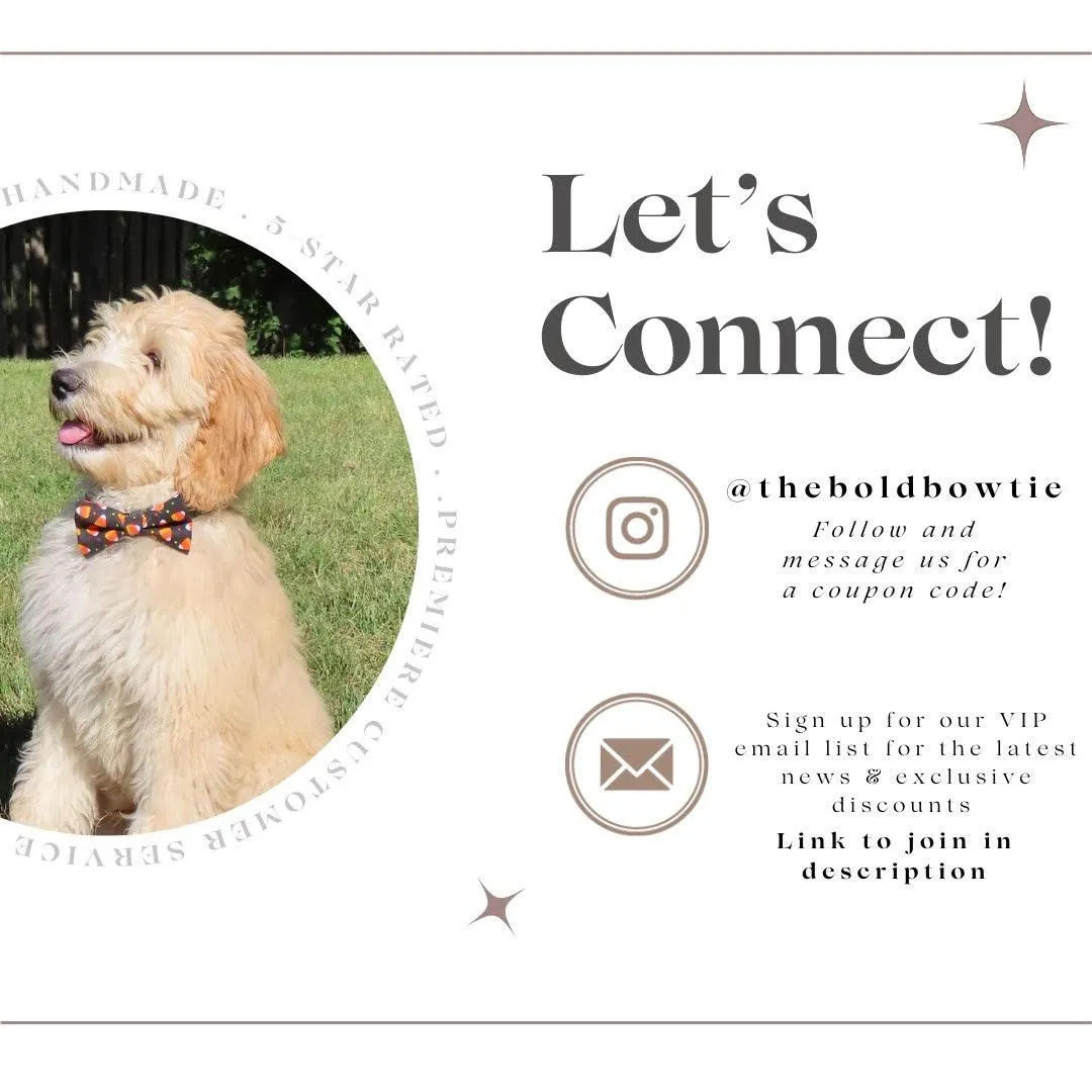 Taco Bow Tie for Dog and Cat Collar