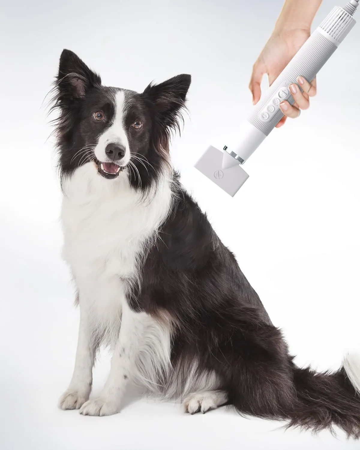 Uah Pet Fluffy-1 High-Velocity Dog Hair Dryer-Black Friday Sale