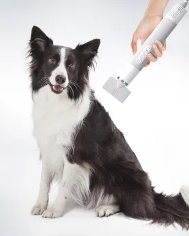 Uah Pet Fluffy-1 High-Velocity Dog Hair Dryer-Black Friday Sale
